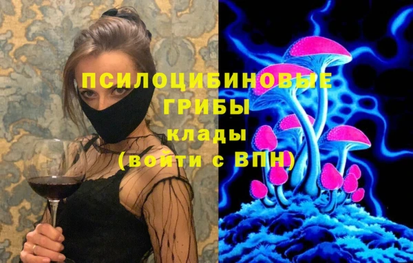 крисы Абдулино