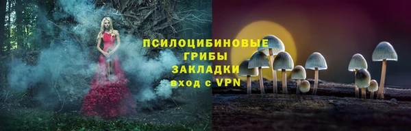 крисы Абдулино
