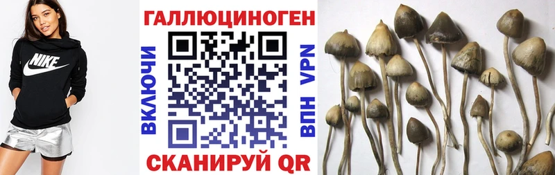 Галлюциногенные грибы ЛСД  Поворино 
